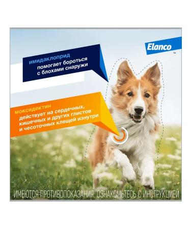 Elanco Lawyer Drops for Dogs of more than 25 kg 1pipet - Buy Online on GoSupps.com