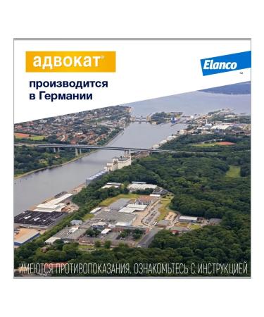 Elanco Lawyer Drops for Dogs of more than 25 kg 1pipet - Buy Online on GoSupps.com