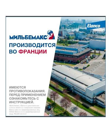 Elanco Milbemax from worms for puppies and small breeds 2 tab - Buy Online on GoSupps.com