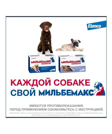 Elanco Milbemax from worms for puppies and small breeds 2 tab - Buy Online on GoSupps.com