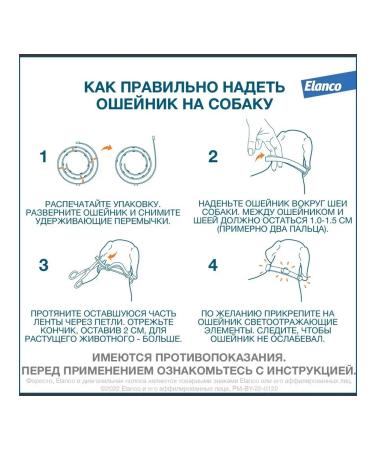 Elanco Forest collar from fleas and ticks for dogs up to 8 kg - Buy Online on GoSupps.com