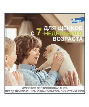 Elanco Forest collar from fleas and ticks for dogs up to 8 kg - Buy Online on GoSupps.com