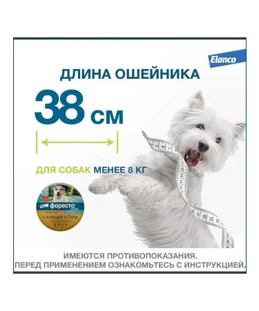 Elanco Forest collar from fleas and ticks for dogs up to 8 kg - Buy Online on GoSupps.com