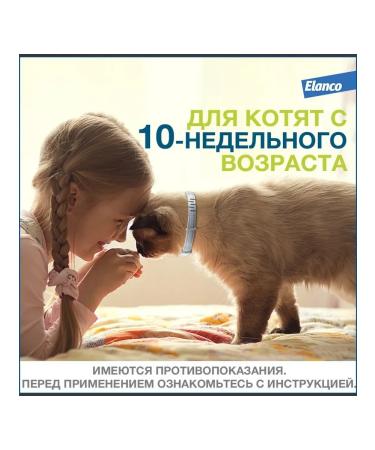 Elanco Antiparasite Foretrae collar for cats 38cm - Buy Online on GoSupps.com