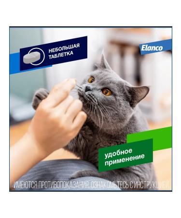 Elanco Drontal tablets for cats 2 tab - Buy Online on GoSupps.com