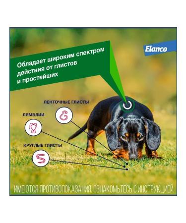 Elanco Drontal Plus for dogs with the taste of meat 35kg 2 tab - Buy Online on GoSupps.com