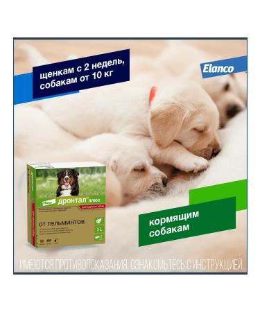 Elanco Drontal Plus for dogs with the taste of meat 35kg 2 tab - Buy Online on GoSupps.com