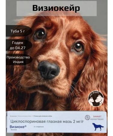 Viziocerian (Visiocare Optimmun Optimmun)