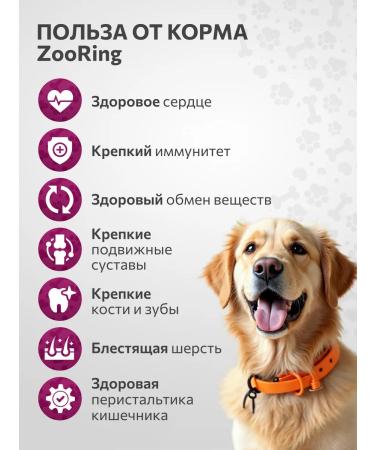 ZooRing Dry food Active Standart Meat Mix Rice and Pasternak 10 kg - Buy Online on GoSupps.com