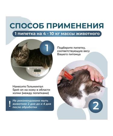 Helminthal Drops on the withers for cats 4-10 kg - Buy Online on GoSupps.com