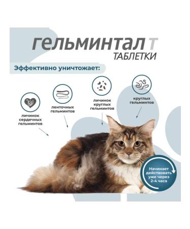 Helminthal Cat tablets more than 4 kg 2 tab - Buy Online on GoSupps.com