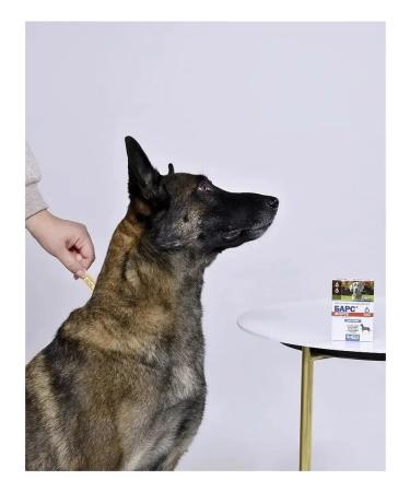 AVZ Bars drops for dogs - Buy Online on GoSupps.com