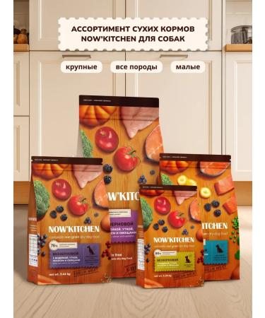 NOW'KITCHEN Frysh Turkey Granfree 0.4 kg puppy food for puppies - Buy Online on GoSupps.com