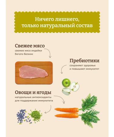 NOW'KITCHEN Frysh Turkey Granfree 0.4 kg puppy food for puppies - Buy Online on GoSupps.com