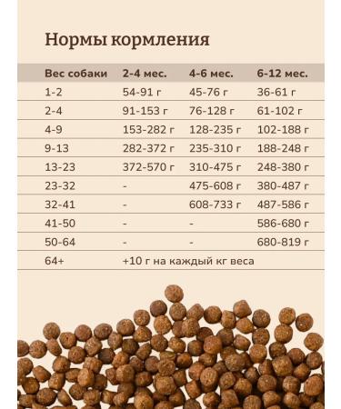 NOW'KITCHEN Frysh Turkey Granfree 0.4 kg puppy food for puppies - Buy Online on GoSupps.com