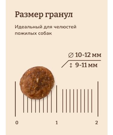 NOW'KITCHEN Dog foods Senior Fresh Turkey Granfree 1.59 kg - Buy Online on GoSupps.com