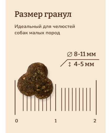 NOW'KITCHEN Dog food mini trout Fresh Trout Granfree 5.44kg - Buy Online on GoSupps.com