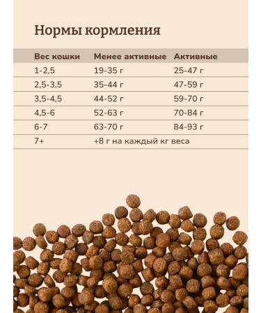 NOW'KITCHEN Cat food turkey Adult Fresh Turkey Granfree 1.36 kg - Buy Online on GoSupps.com