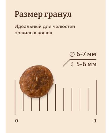 NOW'KITCHEN Feed for elderly cats 7.26kg - Buy Online on GoSupps.com