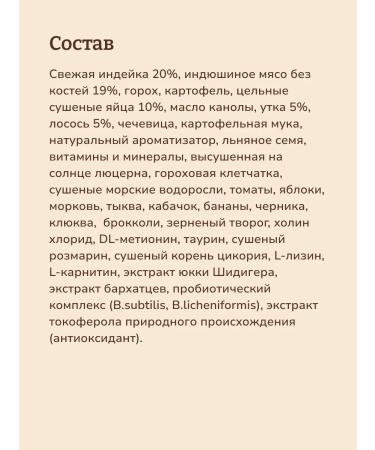 NOW'KITCHEN Cat food turkey Adult Fresh Turkey Granfree 3.63 kg - Buy Online on GoSupps.com