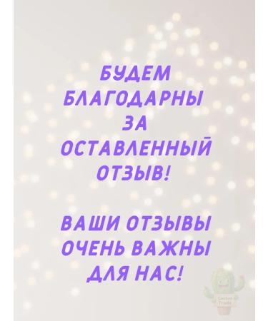 Korega Cream for fixing dentures Complex protection 40 g - Buy Online on GoSupps.com