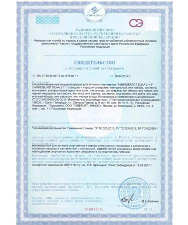 2SN BCAA amino acids bzaa powder apple 500g - Buy Online on GoSupps.com