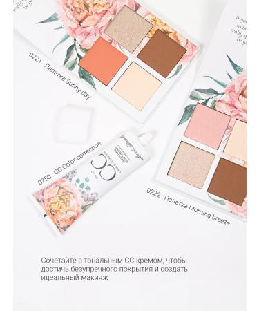 Landa Brenda Facial sculptor 4 in 1 highlighter bronzer blush powder - Buy Online on GoSupps.com