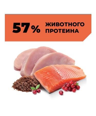 GO'KITCHEN Canned foods full of cats with turkey and salmon 100g - Buy Online on GoSupps.com