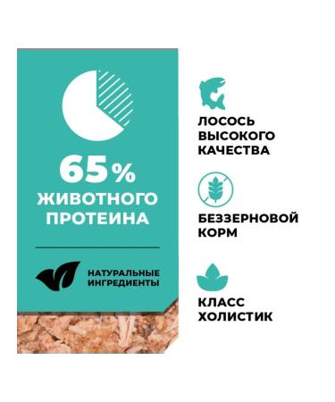 GO'KITCHEN For kittens and cats with salmon and fish 12x100g - Buy Online on GoSupps.com