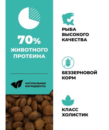 GO'KITCHEN Feed for kittens and cats with salmon and sea fish 400 g - Buy Online on GoSupps.com