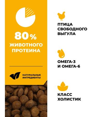 GO'KITCHEN For kittens and cats chicken fruits and vegetables 400 g - Buy Online on GoSupps.com