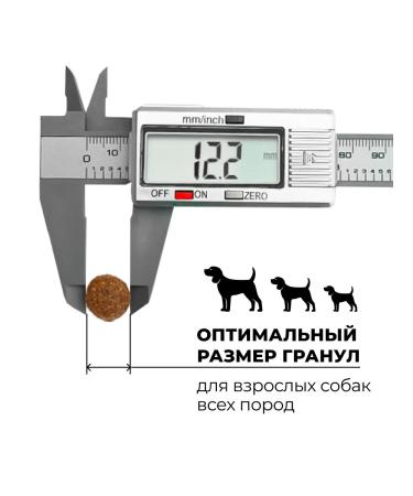 GO'KITCHEN Dry food for adult dogs 4 types of meat 5.44 kg - Buy Online on GoSupps.com