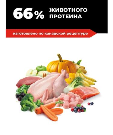 GO'KITCHEN Dry food for adult dogs 4 types of meat 5.44 kg - Buy Online on GoSupps.com