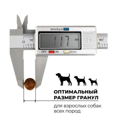 GO'KITCHEN Dry food for puppies and dogs with lamb 1.59 kg - Buy Online on GoSupps.com