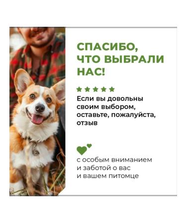 GO'KITCHEN Canned goods full for dogs with lamb Lamb 100g - Buy Online on GoSupps.com