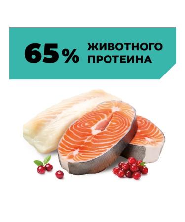 GO'KITCHEN For puppies and dogs with salmon and fish 12x100g - Buy Online on GoSupps.com