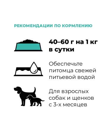 GO'KITCHEN Canned food for dogs with sensitive digestion salmon 100g - Buy Online on GoSupps.com