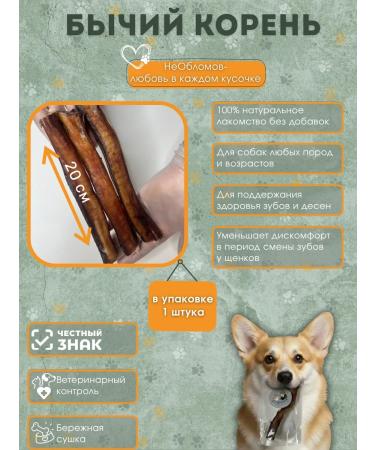 NeOblomov Natural treat for dogs bull root 20 cm