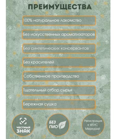 NeOblomov Natural treat for dogs bull root 20 cm - Buy Online on GoSupps.com