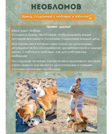 NeOblomov Natural treat for dogs bull root 20 cm - Buy Online on GoSupps.com