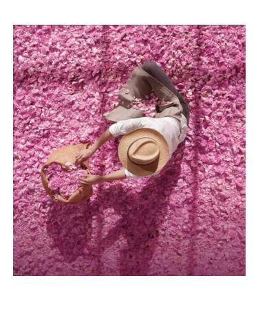 Miss Dior Rose Body Milk Soothing moisturizing nourishing body milk - Buy Online on GoSupps.com