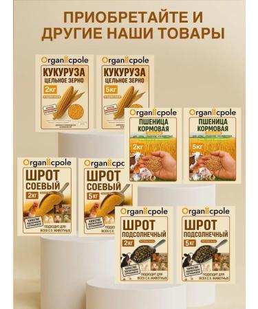 Wheat for germination 5 kg - Buy Online on GoSupps.com