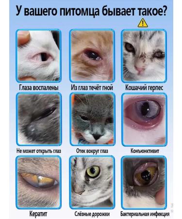 Medical ophthalmic drops for dogs 60 ml - Buy Online on GoSupps.com