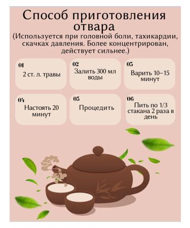 Motherwort Grass dried 100 g drevomed - Buy Online on GoSupps.com