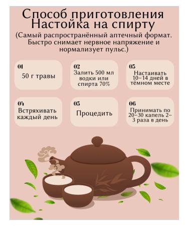 Motherwort Grass dried 100 g drevomed - Buy Online on GoSupps.com