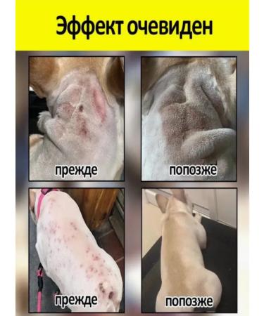 Spray for cats and dogs from skin problems 100 ml - Buy Online on GoSupps.com