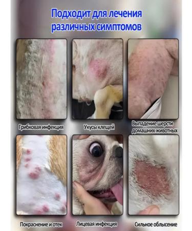 Spray for cats and dogs from skin problems 100 ml - Buy Online on GoSupps.com