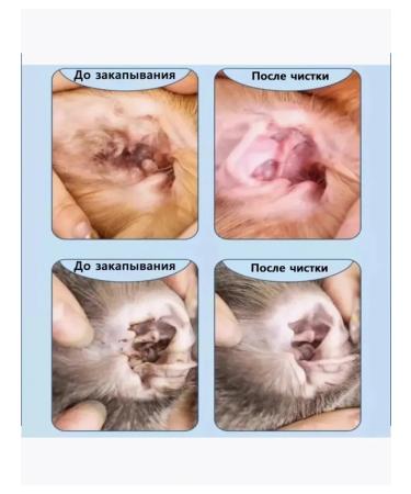 Ear drops for cats from ticks 60 ml - Buy Online on GoSupps.com