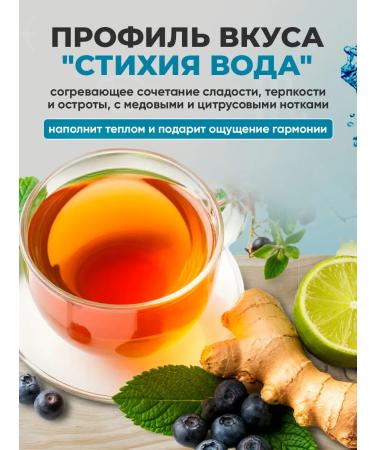 ASTROHEALTH Phytochay element Water of blueberries rose hips and ginger - Buy Online on GoSupps.com