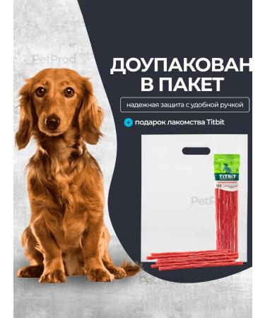 Alleva Dry food 2kg Natural Adult Dog Fish & Pumpkin - Buy Online on GoSupps.com